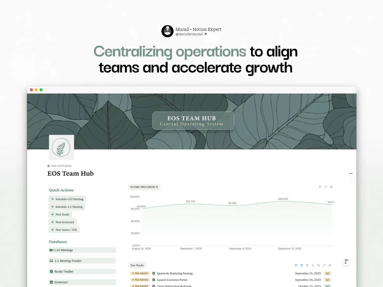 Screenshot: InOasis Marketing